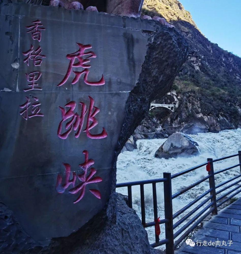 哪种洗发水防脱去屑效果好?求你们去买介个防脱洗发水!