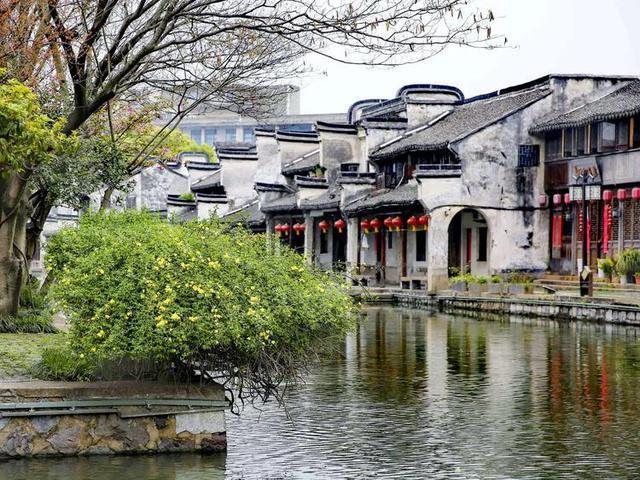 开封市民政局召开2024年第一次办公扩大会